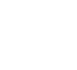NexMapp Logo